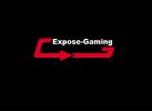 Expose.gaming